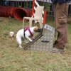 foire-haricots 2011-09-17et18